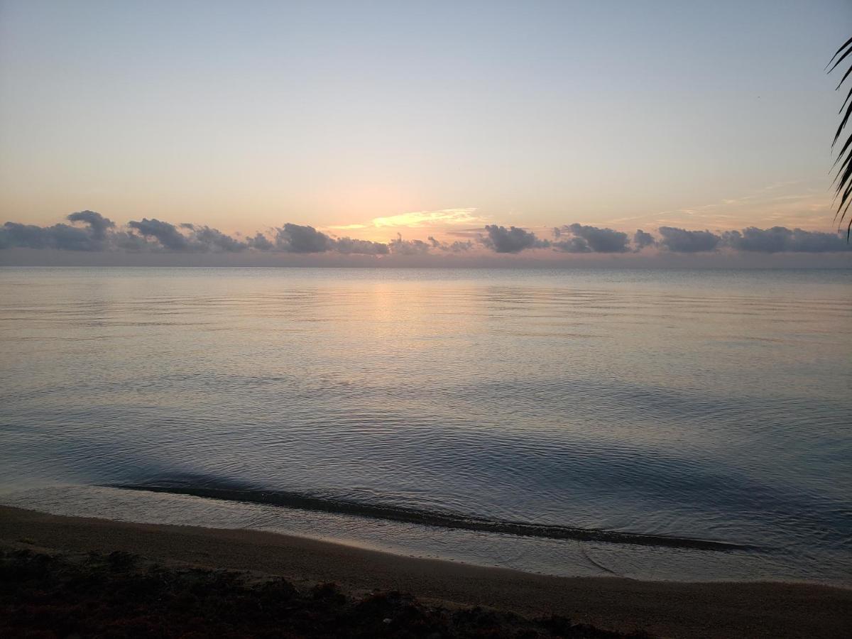 Pal'S On The Beach - Dangriga, Belize Экстерьер фото