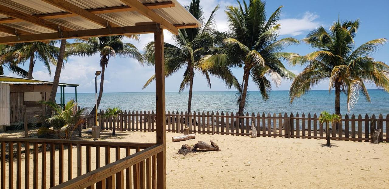 Pal'S On The Beach - Dangriga, Belize Экстерьер фото