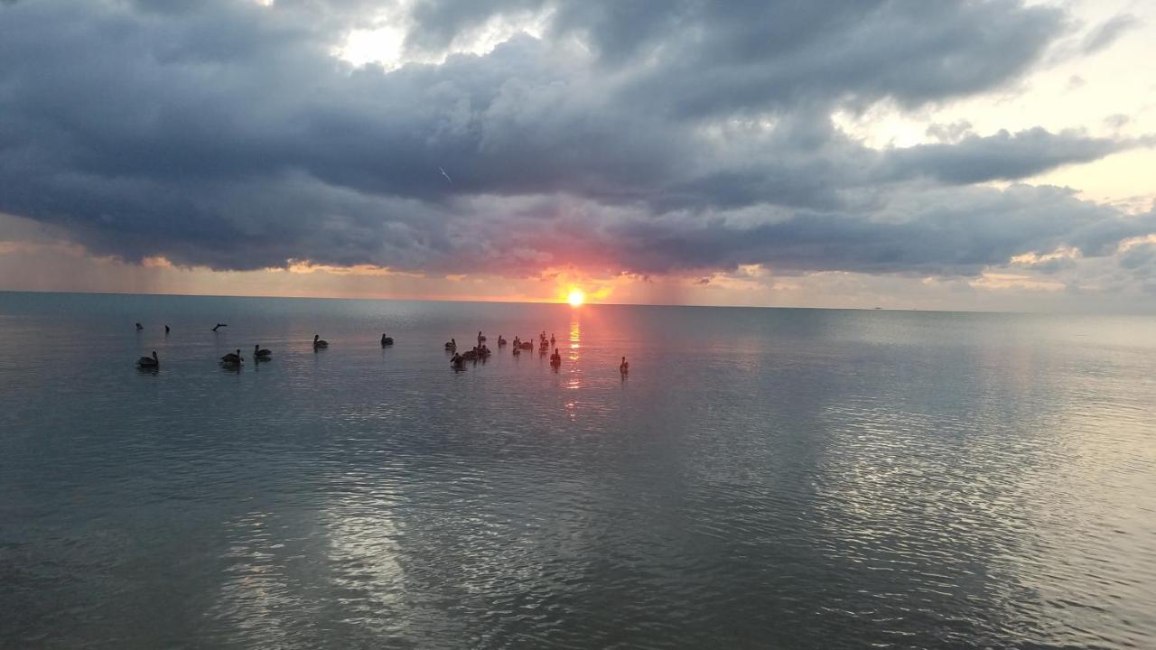 Pal'S On The Beach - Dangriga, Belize Экстерьер фото