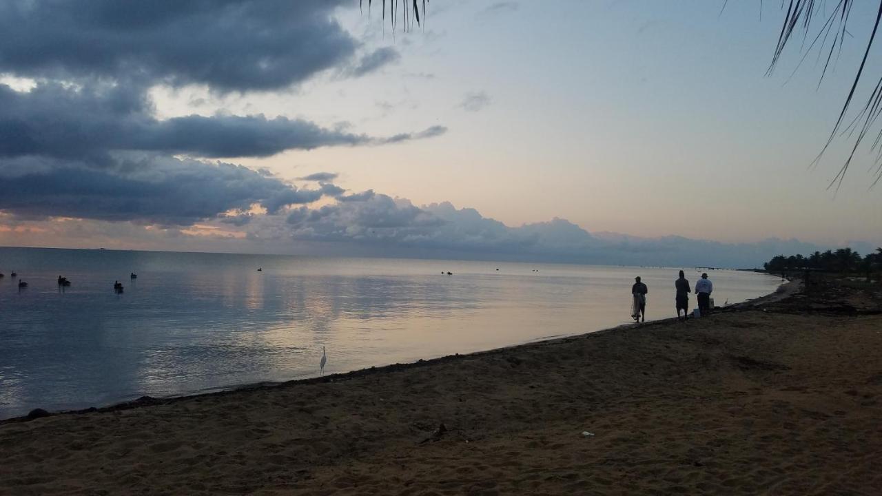Pal'S On The Beach - Dangriga, Belize Экстерьер фото